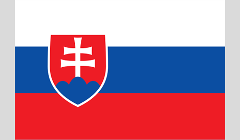 Slovakça